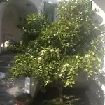 Apartment Vukicevic *