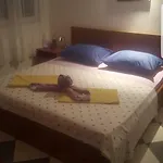 Apartment Vukicevic