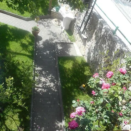 Vukicevic Apartment