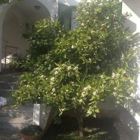 Apartman Vukicevic *