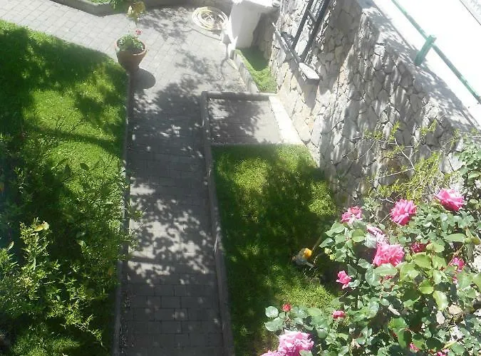 Vukicevic Apartamento